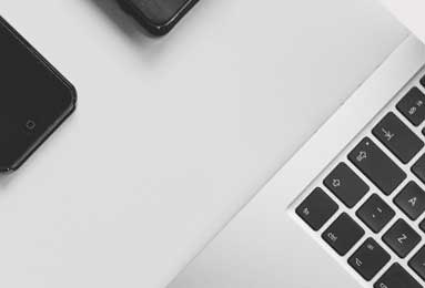 植物大战脑腐终极融合狂潮活动指南